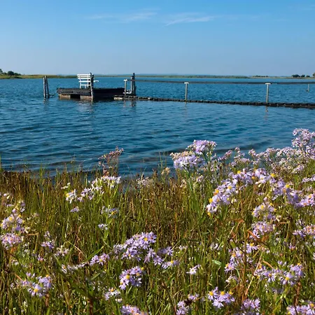 Fip Park Lieblingsplatz * Insel Poel